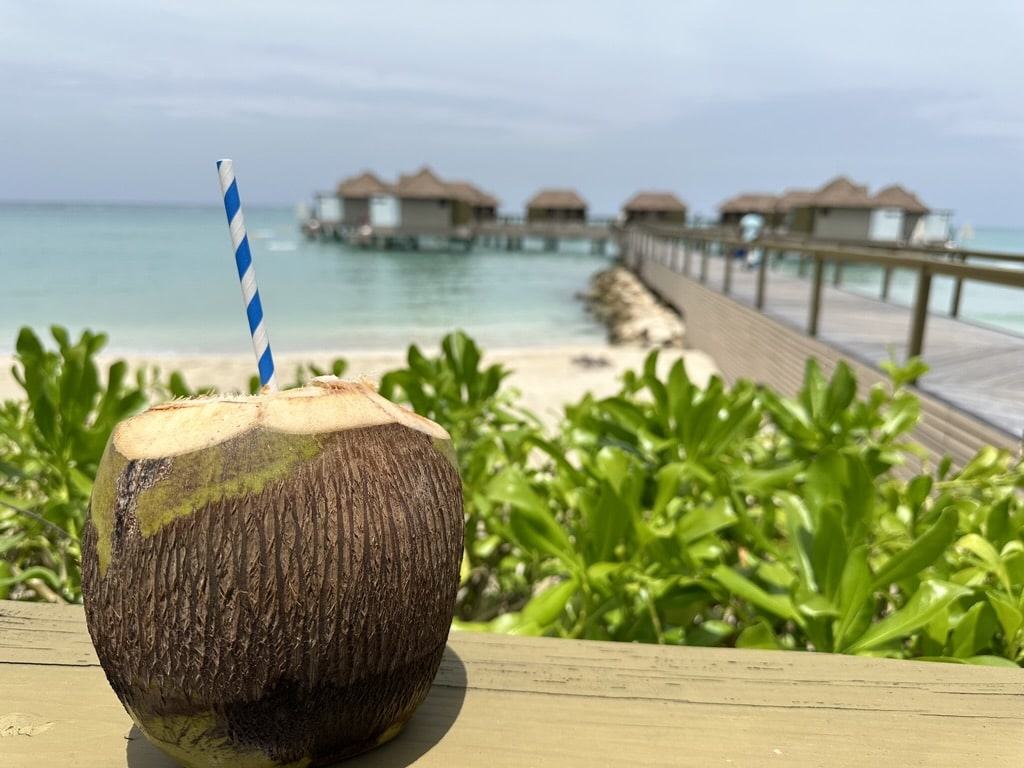 Last Minute Gift Guide for Traveler Lovers