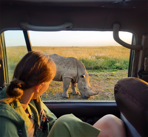 Your colleague’s safari